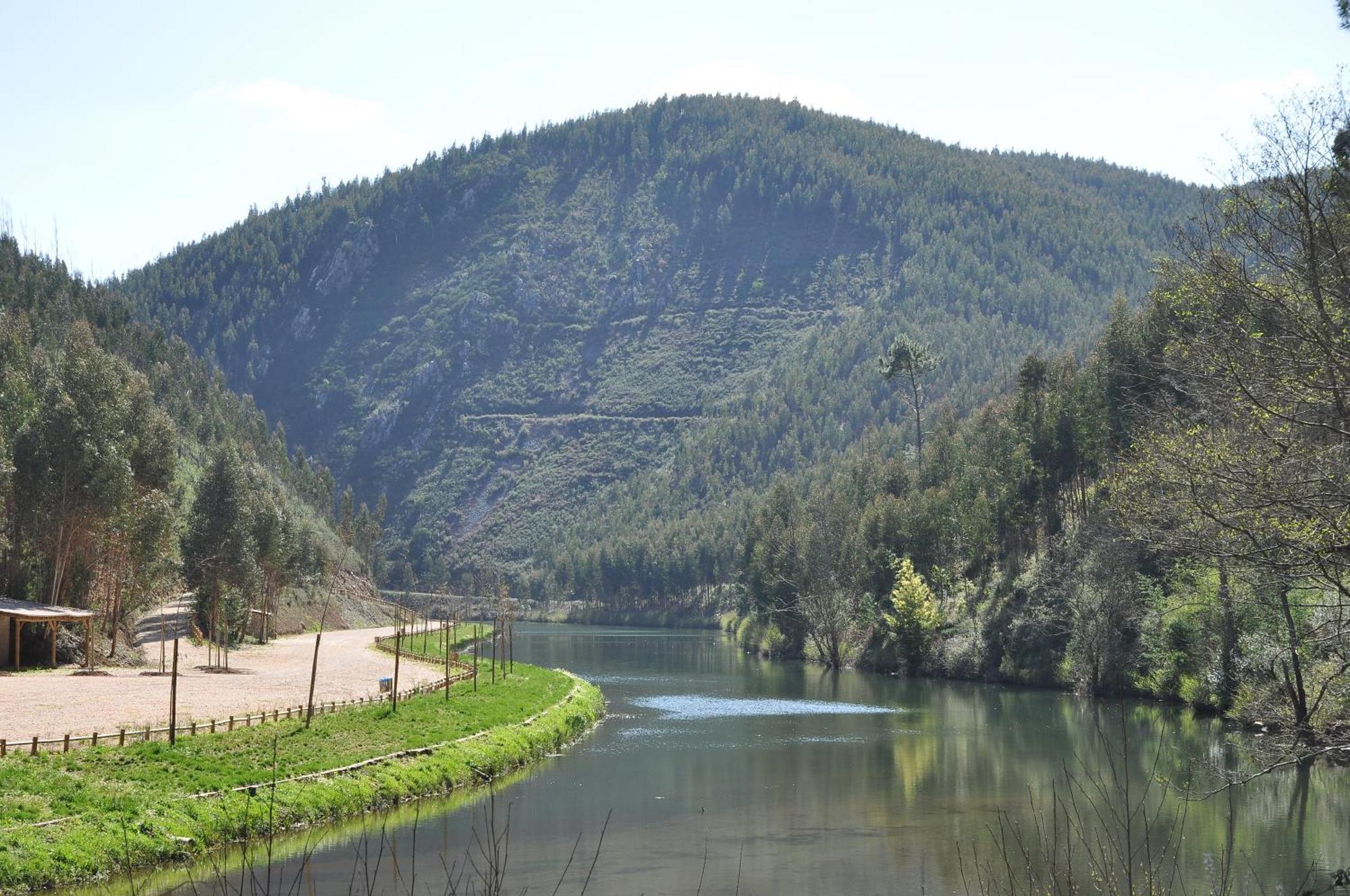 Hotel Rural Solar Das Freiras Figueiro Dos Vinhos Εξωτερικό φωτογραφία