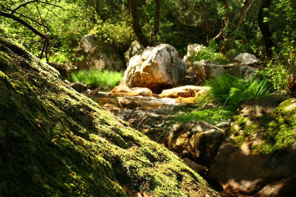 Hotel Rural Solar Das Freiras Figueiro Dos Vinhos Εξωτερικό φωτογραφία
